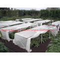 Tissu de couverture plante respirante de service OEM